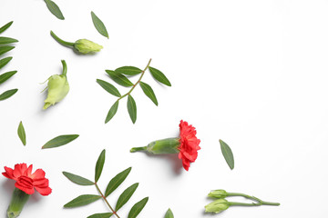 Composition with beautiful flowers on white background, top view. Floral card design