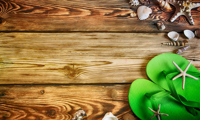 Sea shells on the wooden background