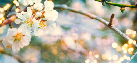  background with spring flowers. Watercolor imitation