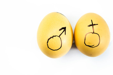 Characters are drawn on chicken eggs. Symbols of male and female. painted on chicken eggs. Point to...