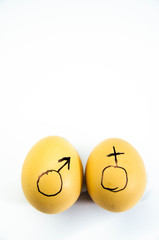 Characters are drawn on chicken eggs. Symbols of male and female. painted on chicken eggs. Point to...