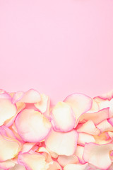Fototapeta na wymiar Background of beautiful white rose petals pink color with copy space. Close up.