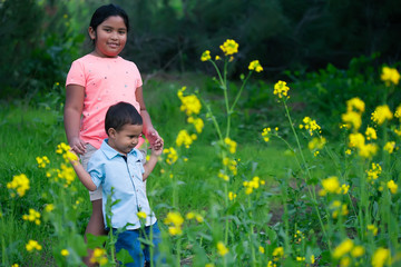 A big sister is helping her little brother walk through a nature trail full of yellow wild flowers.