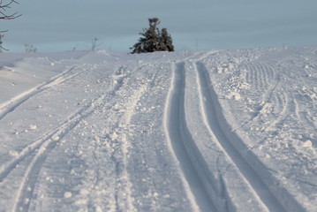 Obraz premium Ski track in snow , active winter holiday concept.