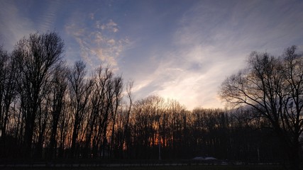 Naklejka premium sunset in park
