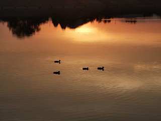 Naklejka premium sunset on the lake
