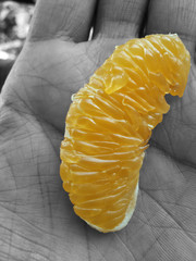 Orange or Santra from nagpur. Served in a plate. selective focus. Isolated tangerines. white background with clipping path