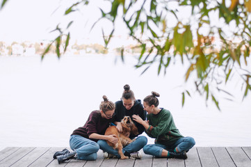 Girls and english cocker spaniel dog lying on wooden bridge.Portrait of dog outside (outdoors)....