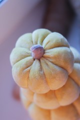 soft plush pumpkins for Halloween