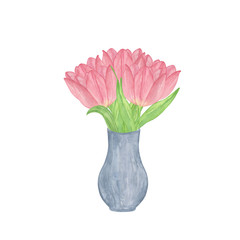 A bunch of tender pink tulips, hand drawn isolated watercolor illustration on the white background, single object