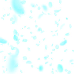 Turquoise flower petals falling down. Graceful rom