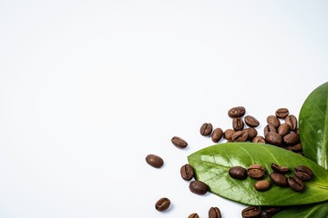 Coffee beans and green leaves on white background. Copy space