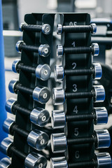 Obraz premium a rack with dumbbells of different weights