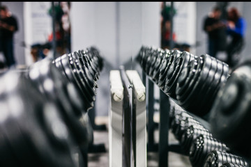 row of dumbbells in the mirror