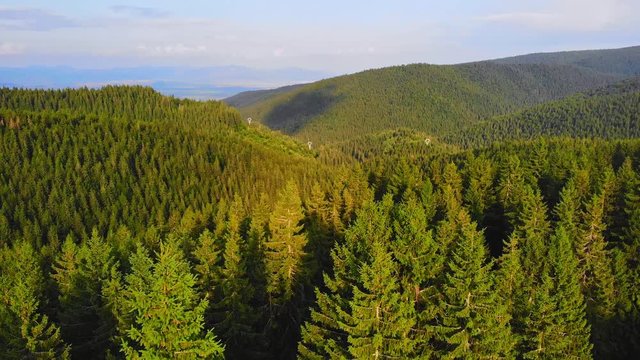 Sovata city, forest and valley from above. Aerial drone shot. Bird view. Panorama