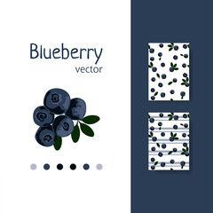Stylish blueberry pattern design. Vector image.