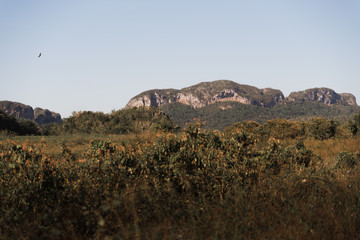 Landscape view of mountains and greenery in Cuba. 