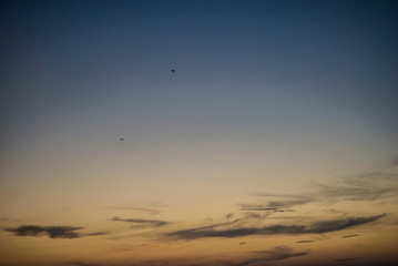 Two birds on a sunset