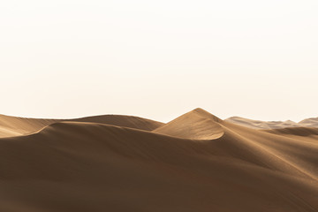 Fototapeta na wymiar sand dune in the desert of UAE