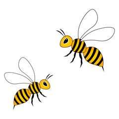 Honey bees isolated on the white background