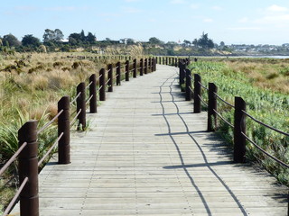 snake-shaped wooden bridge