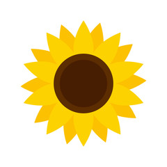 Sunflower flower isolated, vector illustration isolated on the white background