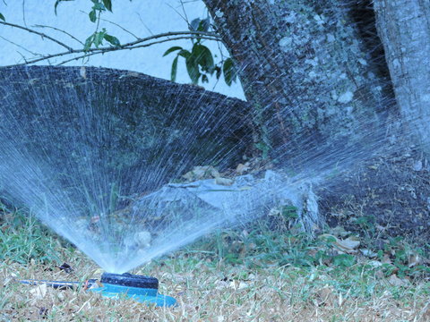 Regador de agua para el c&eacute;sped con fondo de &aacute;rbol 
