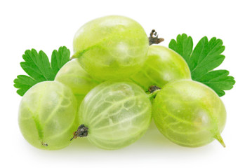 Fresh gooseberry on white background