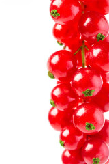 Red currant isolated on white background.
