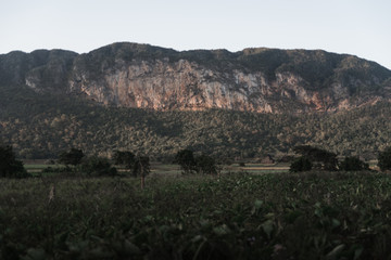 Landscape in the mountains of Cuba. 
