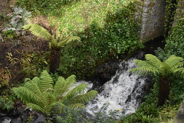 waterfall in forest