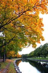 Djurgårdsbrunnskanalen på hösten