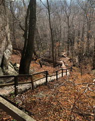 Long Stone Staircase in the Woods