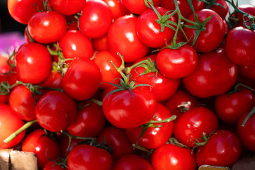 fresh bunch of tomatoes, vegetarian and healthy vegetables, fruits