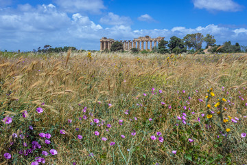 Temple E dedicated to Hera on East Hill of Selinunte also called Selinus - ancient city on Sicily Island in Italy