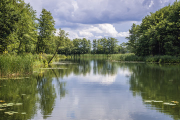 Fototapeta na wymiar View ont Lake Wigry near monastery in Wigry village, Podlasie regon of Poland