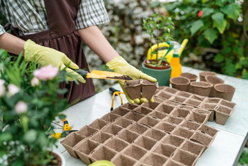 Gardener biologist pours earth into pots for planting plant seeds standing in the winter garden...
