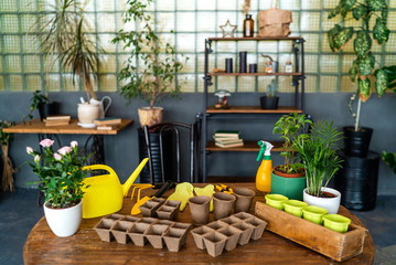 Garden tools on a wooden table in the winter garden