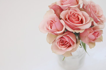 pink roses, white background. bouquet, flowers, floral, arrangement, valentines, gift