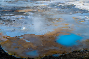 Porcelain Springs, Norris Geyser Basin, Yellowstone