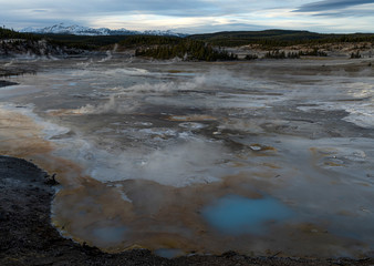 Porcelain Springs, Norris Geyser Basin, Yellowstone