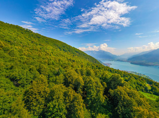 Wide Angle Panorama of Lake Como with Alps Mountains on the Background and Trees in the foreground. Travel Postcard Concept
