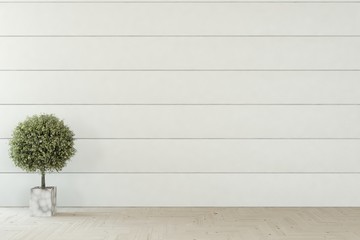Empty room in white color. Scandinavian interior design. 3D illustration