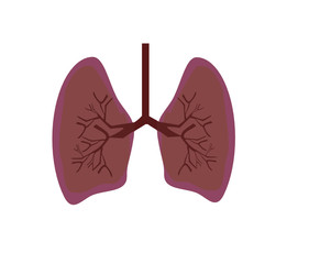 Lung icon flat  stye. Vector illustration on isolate background. Internal organs of the human design element. Healthcare and medical knowledge about the disease.