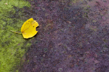 Seamless Rust Texture as Rusted Metal Background. Abstract background, empty template.