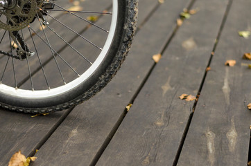 Mountain bike stands on the wooden floor. Part of the bicycle wheel close-up.