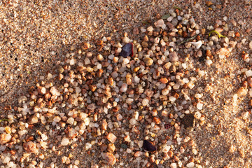 Small pebbles form the background of the sea shore. Coarse multicolor sand.