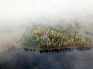 Naklejka na ściany i meble Foggy aerial view of shore forest with autumn foliage