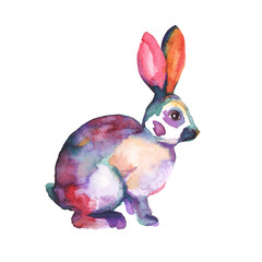 Rabbit