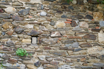 Natural stone background with one plant